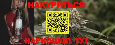 jwh Кингисепп