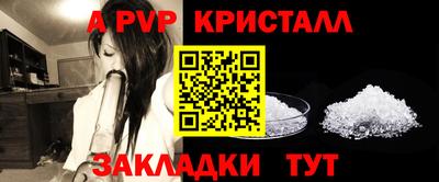 стаф Кимры