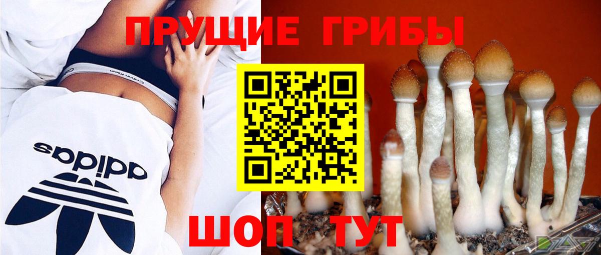 Галлюциногенные грибы ЛСД Канаш